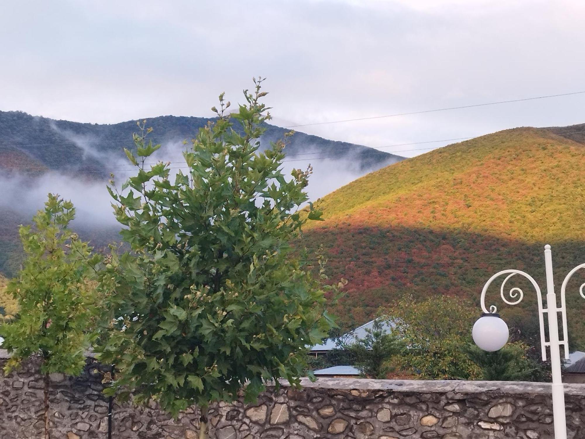 Tulpan Hotel Sheki Exterior foto